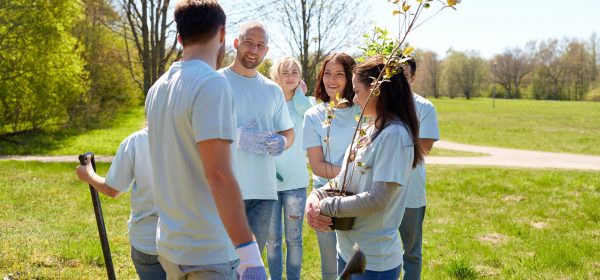 volunteering, charity, people and ecology concept - group of happy volunteers with tree seedlings talking in park